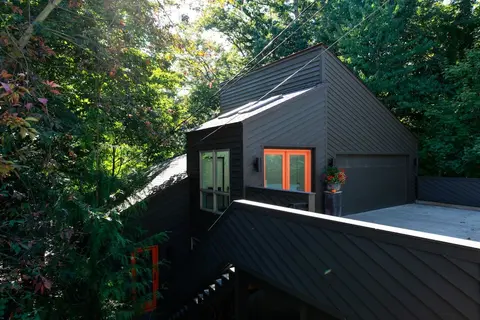 Treetops