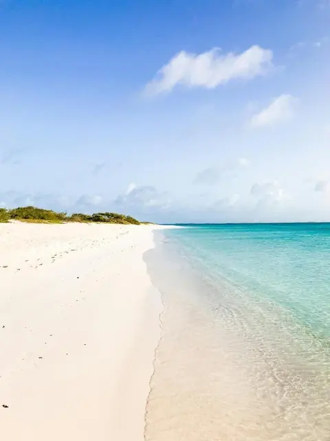 Eagle Stays Aruba