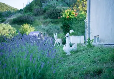 Mig - With Beautiful Garden - A2