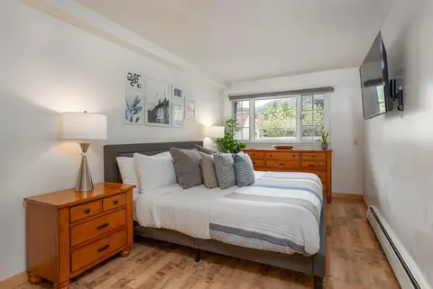 210 East Cooper in Aspen