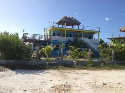 Trellis House 2