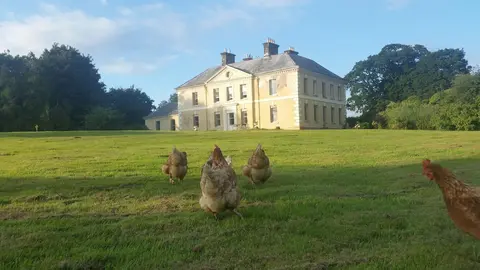 Kelly House