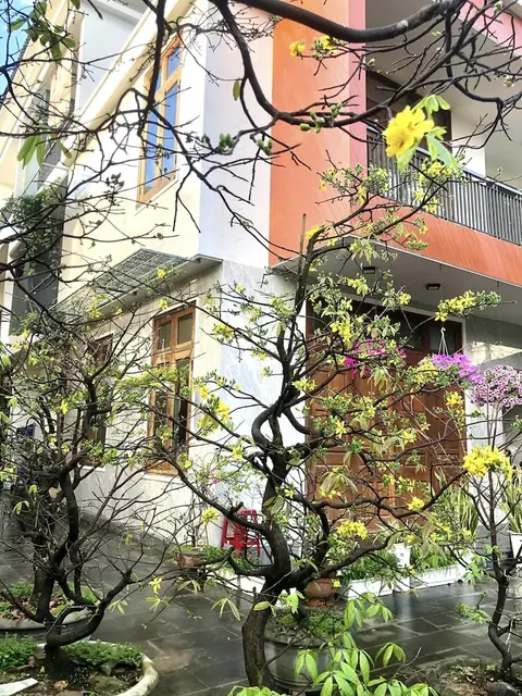 Phương's house