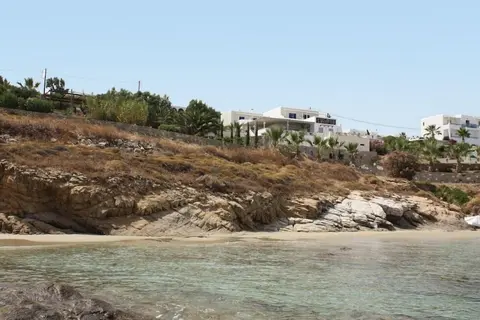 Paros Blue Dolphin