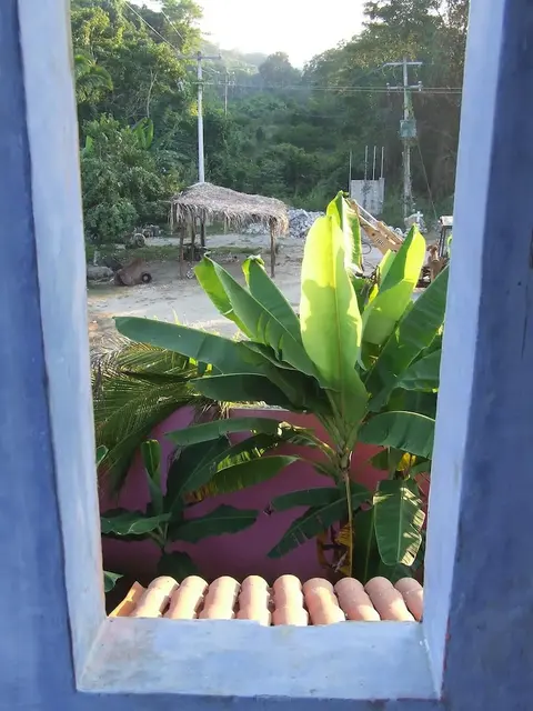Inviting 1-bed Apartment in Sayulita