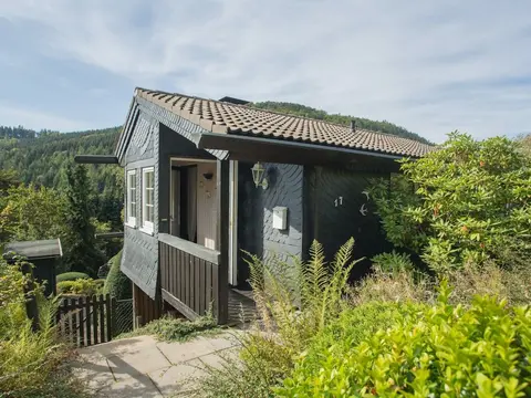 Modern Ferienhaus Nahe von Winterberg mit Garten