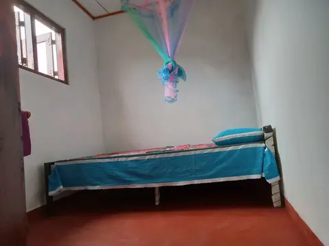 Green View Guest