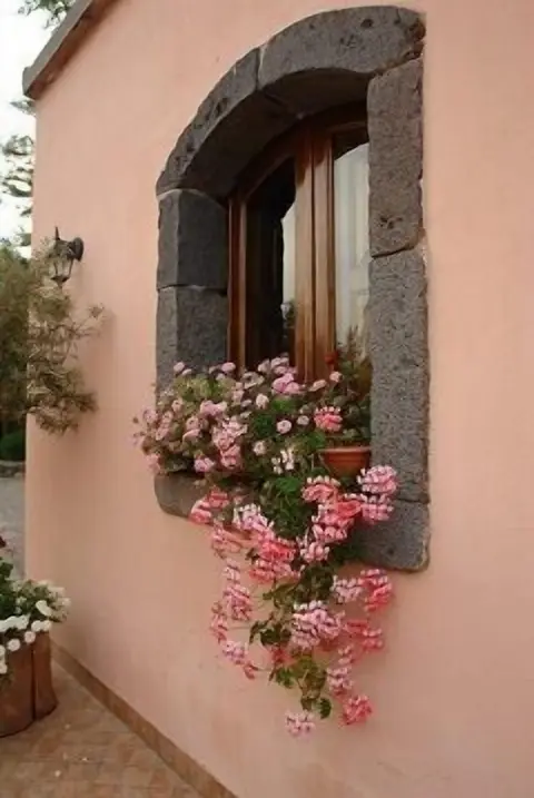 La Grevillea