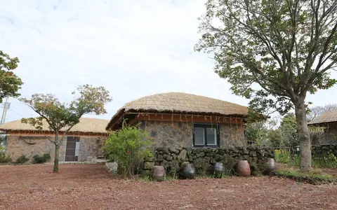 Seogwipo Chogain inn Guest House