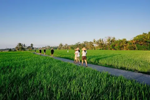 BAKUNGAN diJero Homestay