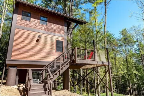 Forest Hill Lodge & Cabins