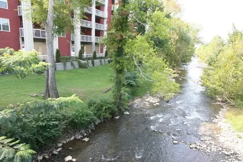 Bear Crossing 202