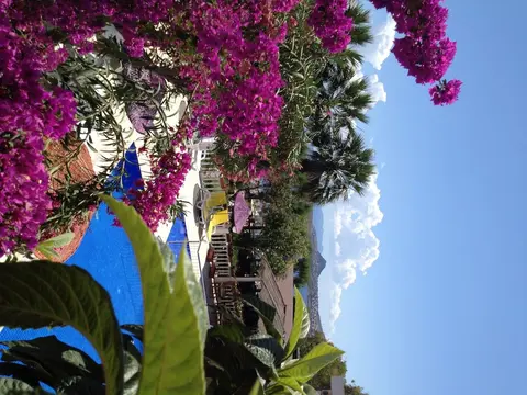 Yilmaz Hotel