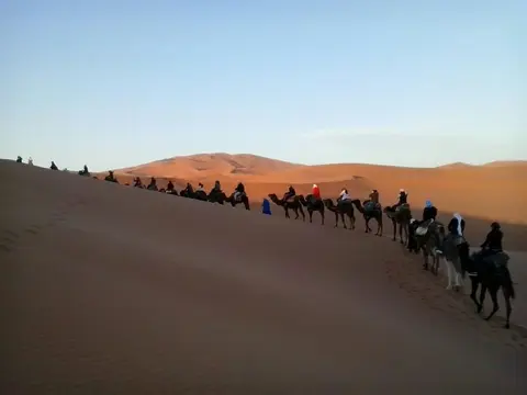 Desert Queen Camp