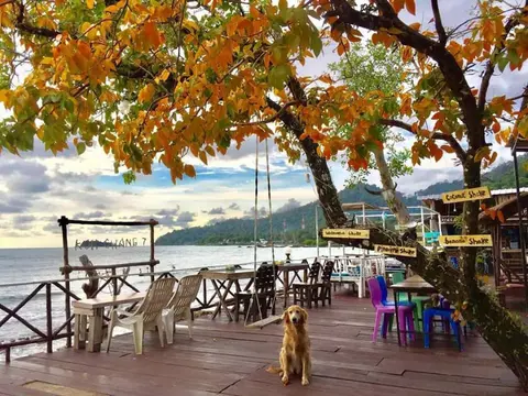 Kohchang 7 seaview bungalow
