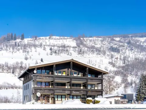 Apartment Niedernsill Near Ski Slopes