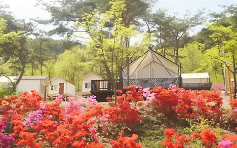 Chengyang Goun Healing Glamping