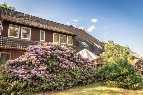 Rhododendron-Hof