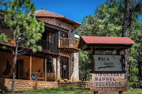 Roca Venados