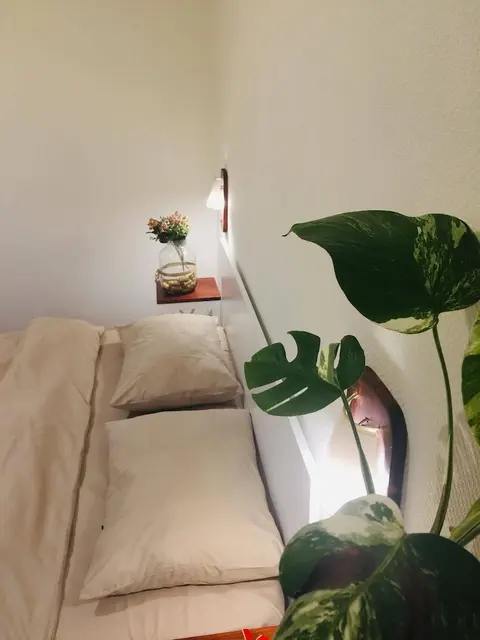 Apartment near Parliament