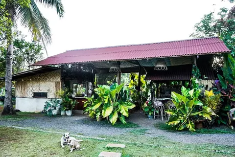 Banlaw Pool & Garden