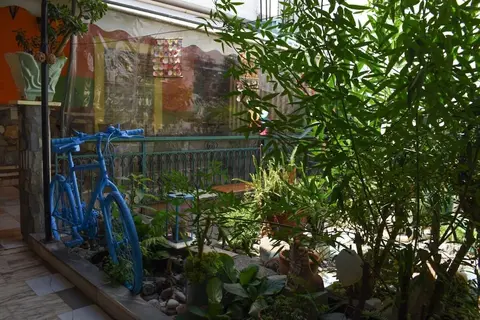 Urban Seaside Oasis - Adriana s Garden Paradise