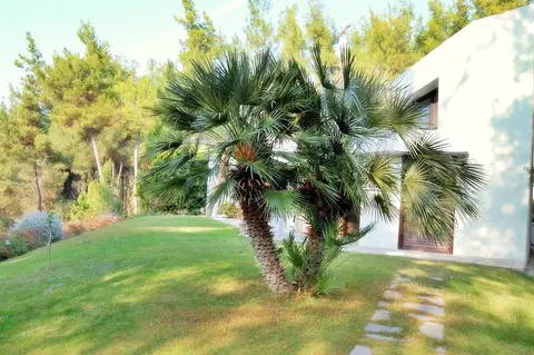 Sani Cape Villas - Stamatiadis