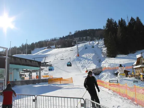 Chalet With E-charging Station