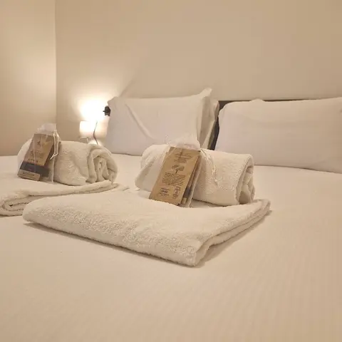 Charming Suite in Center Como