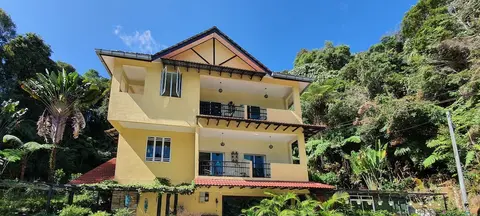 Arundina Cameron Highlands