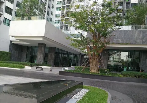The base pattaya condo