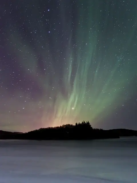 Hotel Bifrost