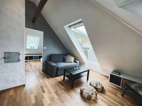 Apartment With Loft and Window Balcony