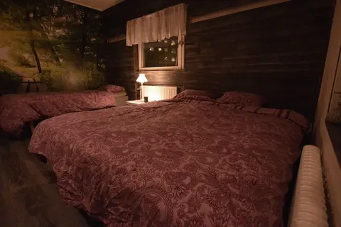 Nordic Borealis House