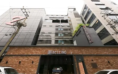 Cheongju Bellino