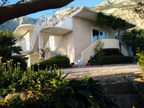 Viki - Seaview & Garden Terrace - A1