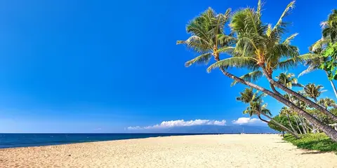Honua Kai Konea 2 Free Rental Cars KBM Resorts Exceptional Value 2 Units, 3 Bedrooms Ml-1439