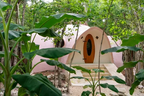 Room-unique Jungle Dome Ik