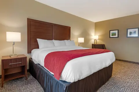 Comfort Inn & Suites Michigan City South