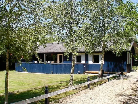 6 Person Holiday Home in Hemmet-by Traum