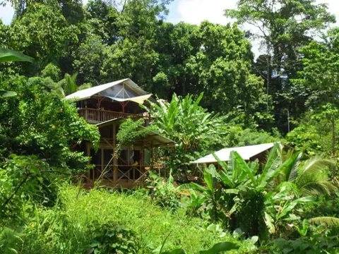 Coco Hill