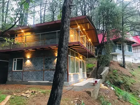 Pinewood Nirvana