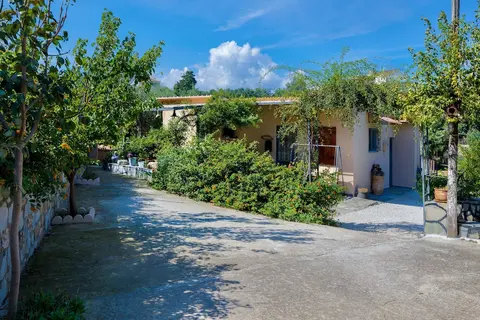 The Olive House