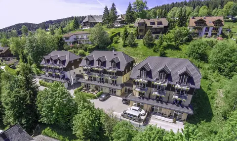Nature Titisee