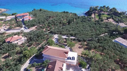 Julia Studios