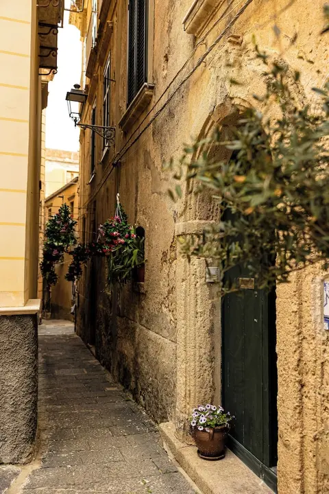 Radici Tropea
