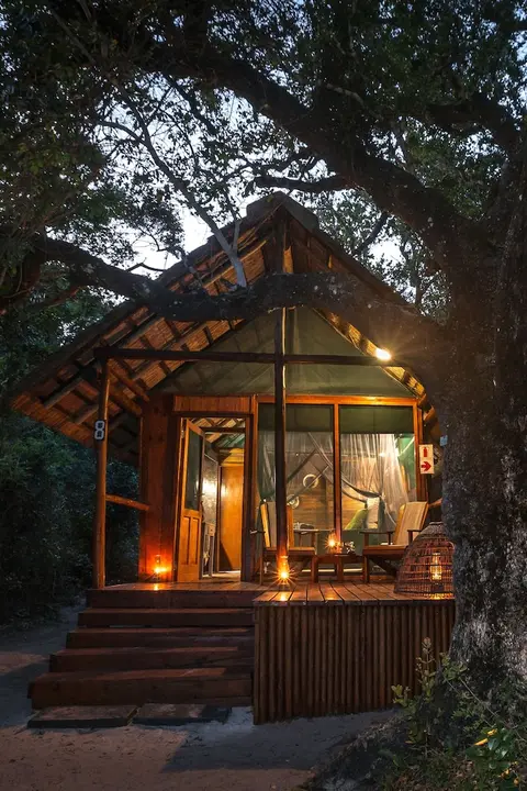 Kosi Forest Lodge