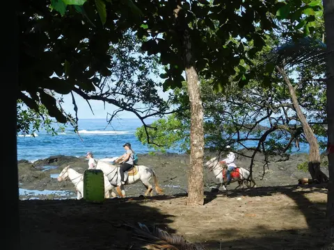 You Imagine Costa Rica Our Location Being on the Beach is What You Imagine