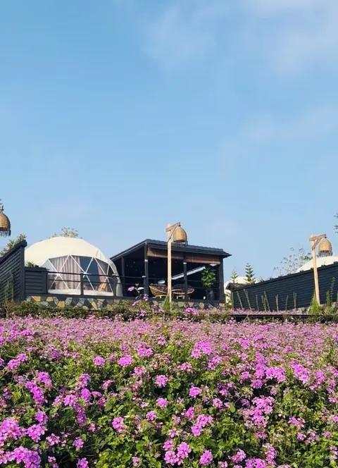 Olala Glamping