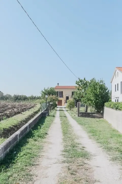 B&B Fior Fiore